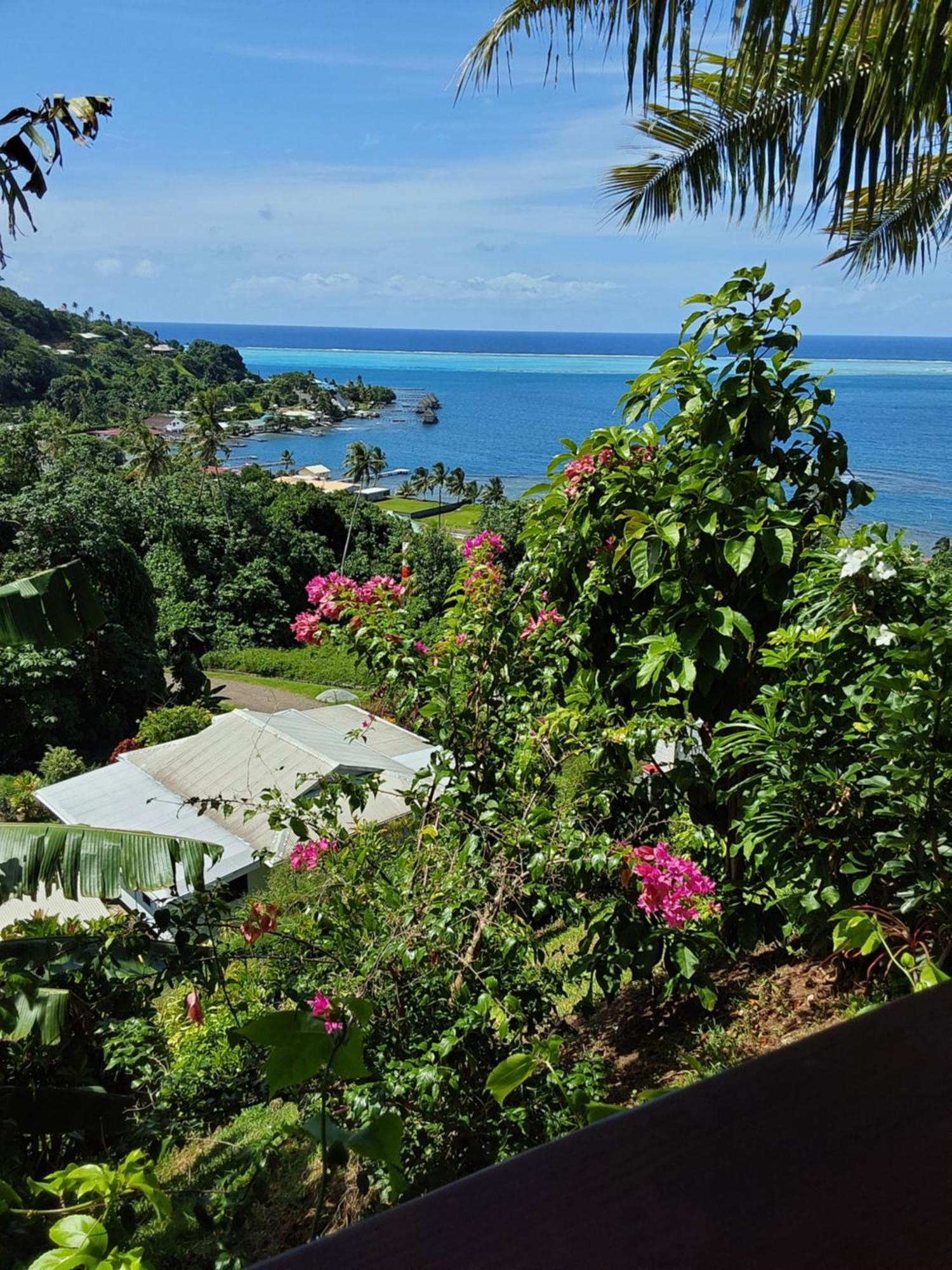 Fare Mahi Mahi Bed & Breakfast Uturoa Bagian luar foto